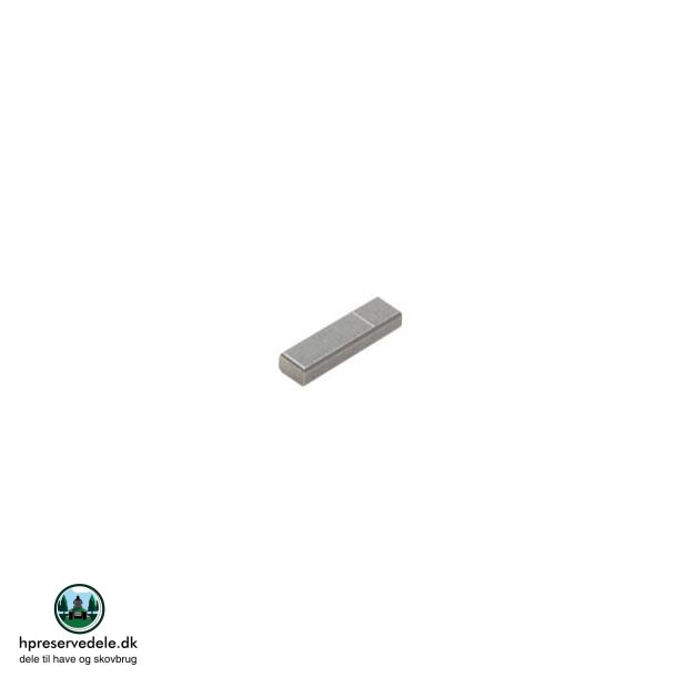 SVINGHUJLSNOT TECHUMSEH     SLGES I PS. MED 5 STK.  29410009