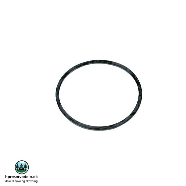 SVMMERHUS  PAKNING    BRIGGS &amp; STRATTON ORG.  693981