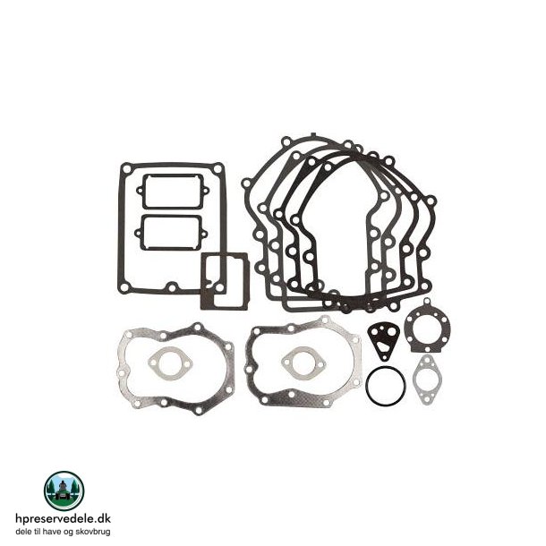 BRIGGS &amp; STRATTON  PAKNINGSST  394501, 491856, 495868