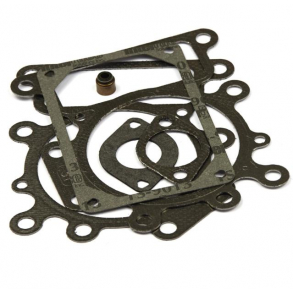 BRIGGS & STRATTON  VENTILPAKNINGSST   794152 M. FL. 