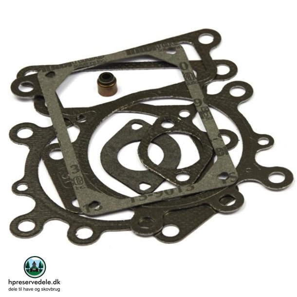 BRIGGS &amp; STRATTON  VENTILPAKNINGSST   794152 M. FL. 