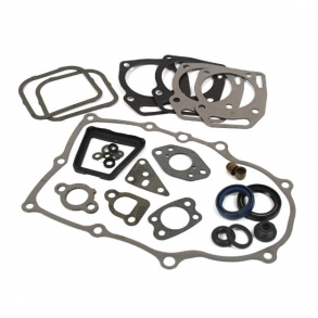 BRIGGS & STRATTON  PAKNINGSST   841188