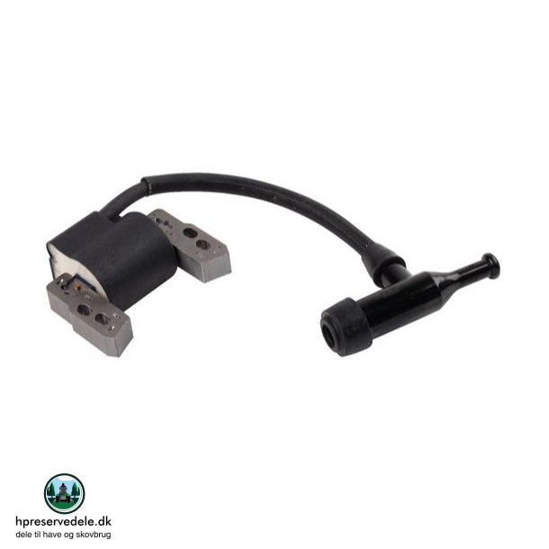 TNDSPOLE BRIGGS &amp; STRATTON   590818 M. FL. 