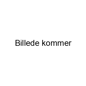 Benzinslange / Olieslange
