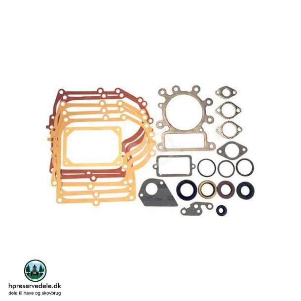 BRIGGS &amp; STRATTON Motorpakningsst 691580