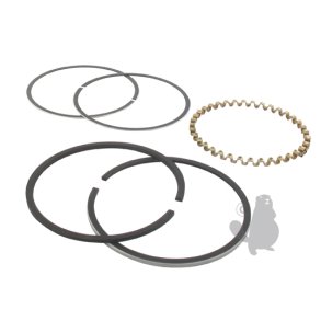 Stempelringst KOHLER model K-241, 10 HK 235288