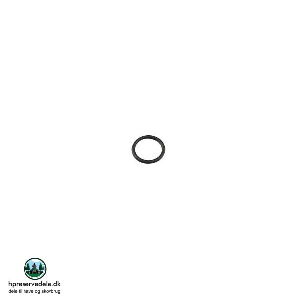 PAKNING BRIGGS &amp; STRATTON   270344