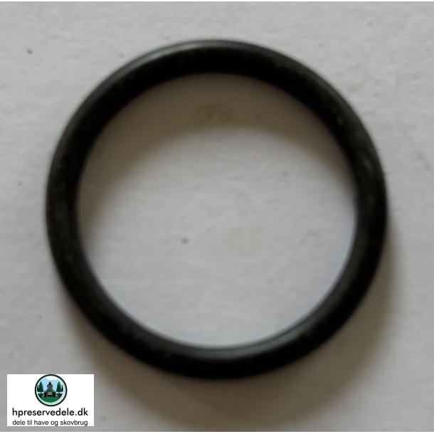 *INDSUG.O-RING B&S 280393