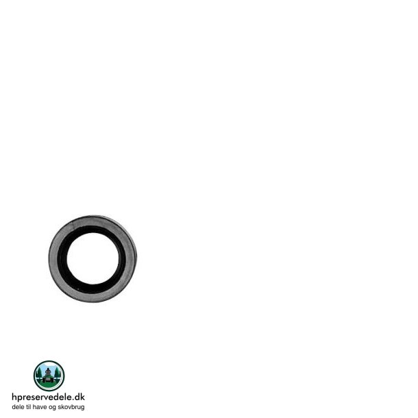 PAKDSE BRIGGS &amp; STRATTON  291675