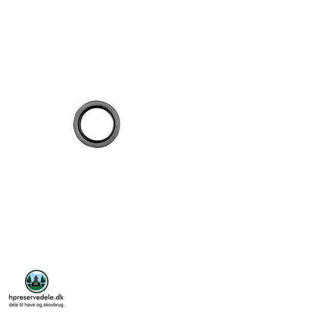 PAKDSE BRIGGS &amp; STRATTON  294606