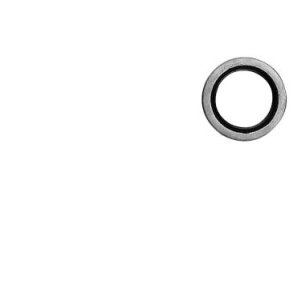 PAKDSE BRIGGS & STRATTON  299819, 89660 M. FL. 