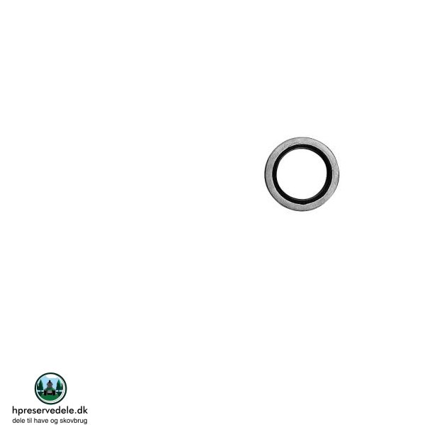 PAKDSE BRIGGS &amp; STRATTON  299819, 89660 M. FL. 