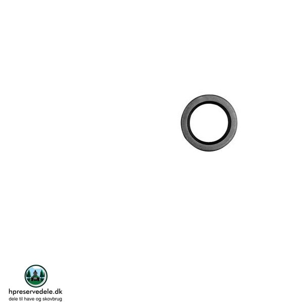 PAKDSE BRIGGS &amp; STRATTON  391086, 298423