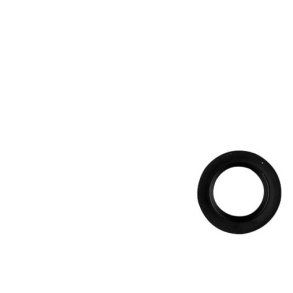 PAKDSE BRIGGS & STRATTON  294167, 391485