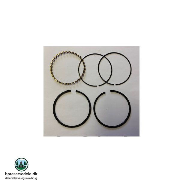 RINGST 020 B&S 391658+FL