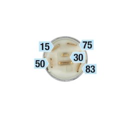 HATZ TNDINGSLS  ORG. 50384401  