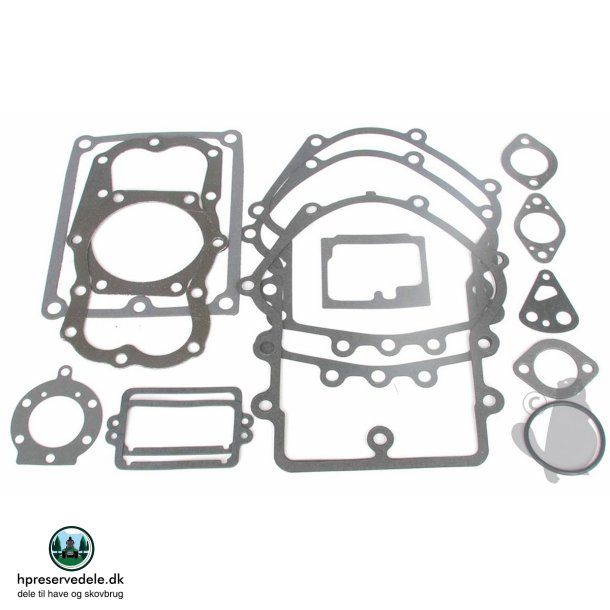 PAKST 16HP 2CYL BS495868