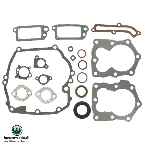 BRIGGS &amp; STRATTON PAKNINGSST   794307, 590508