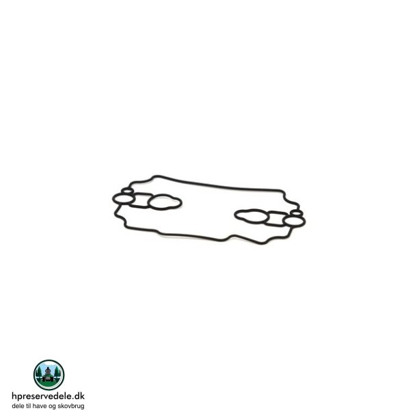 PAKNING
