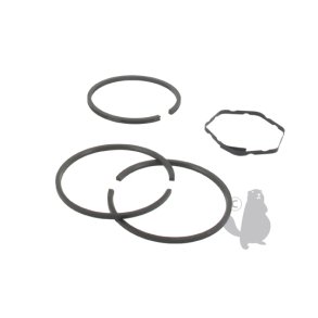 RINGS�T STD TEC 28986 +FL