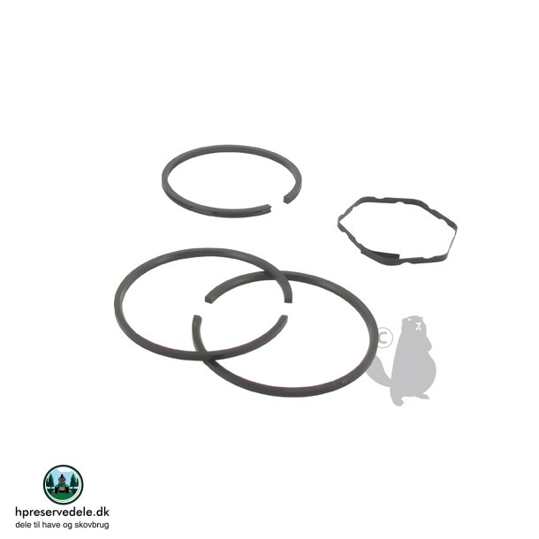 RINGS�T STD TEC 28986 +FL