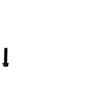 BOLT AS.2919004729190171