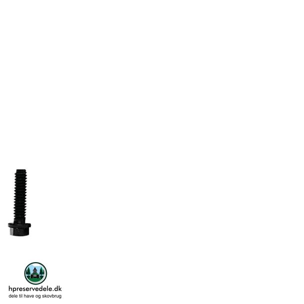 BOLT AS.2919004729190171