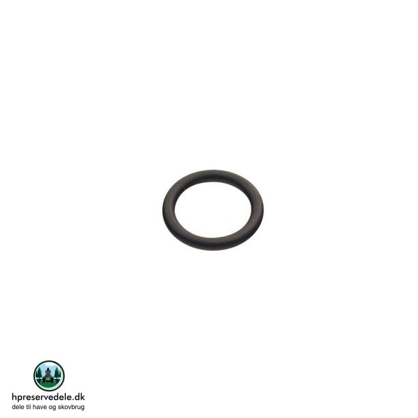 O-RING TECUMSEH ORG. 29610025 M. FL. 