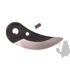 SK�R R122PG