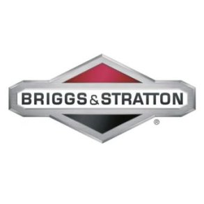 BRIGGS & STRATTON BOLT F TANK 691640, 691697 M. FL. 
