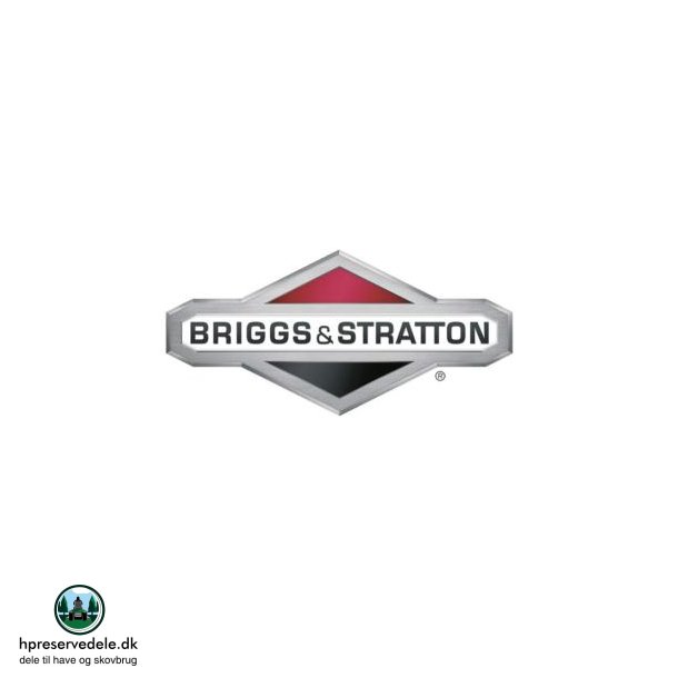 BRIGGS &amp; STRATTON  LUFTFILTERDKSEL  697420