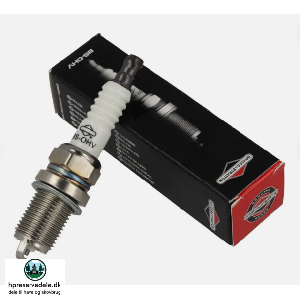 BRIGGS &amp; STRATTON 496018E TNDRR RC14YC 