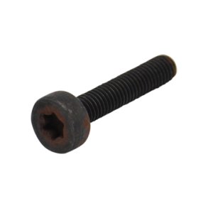 BOLT ECHO  (1 STK.)    V805000220