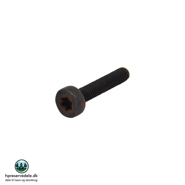BOLT ECHO  (1 STK.)    V805000220