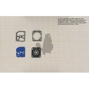 MEMBRAN-PAKN.ST ZAMA GND-89