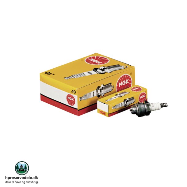 TNDRR NGK BPZ8HS-10