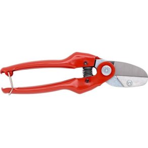 P138 PYNTEGRNTSAKS-STOR.