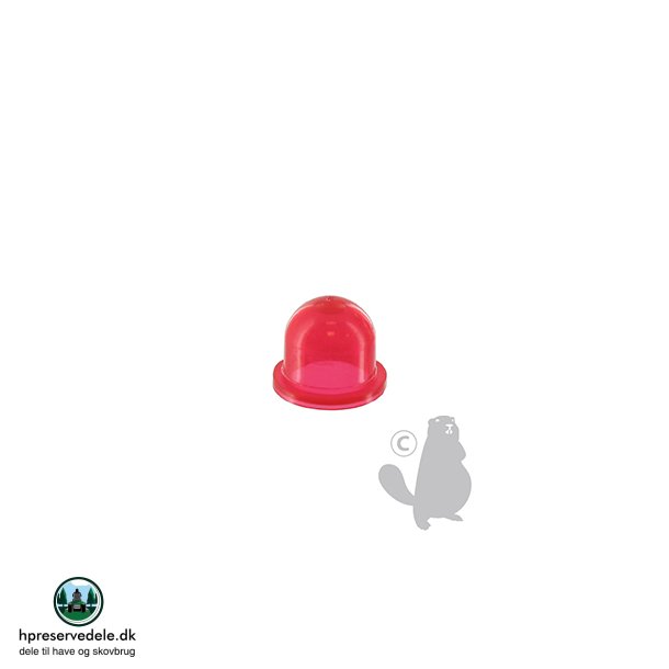 PRIMER BOLD